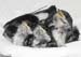 1021-07-housemartins-in-nes.jpg